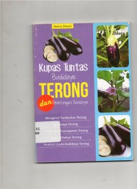 kupas tuntas budidaya terong dan perhitungan bisnisnya